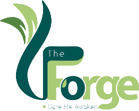 The Forge Support Services Limited - Home Care