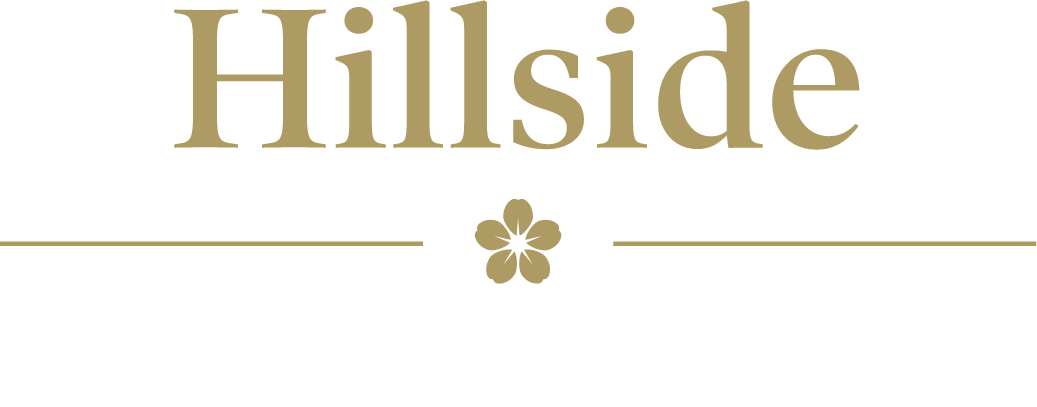 Hillside Care Home - Care Home