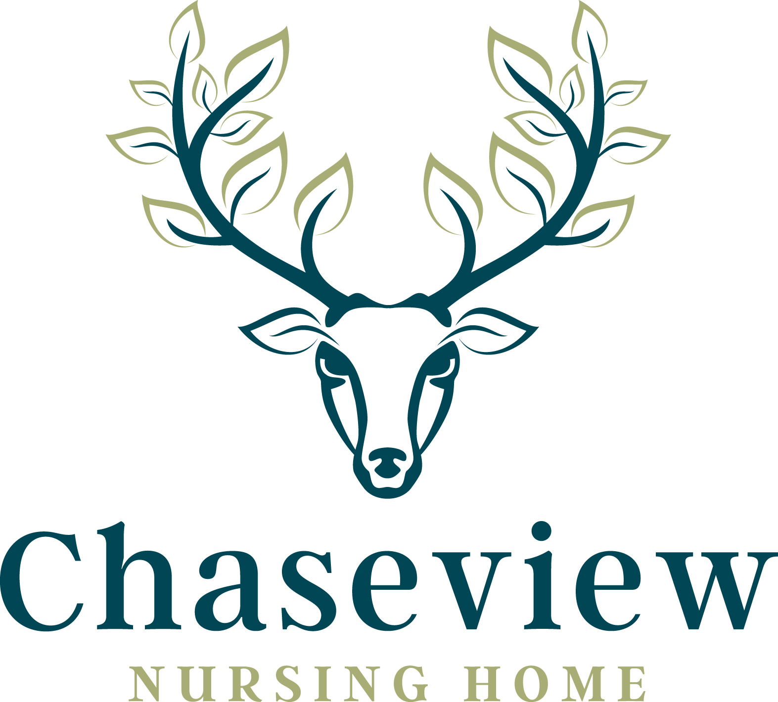 Chaseview Nursing Home - Care Home