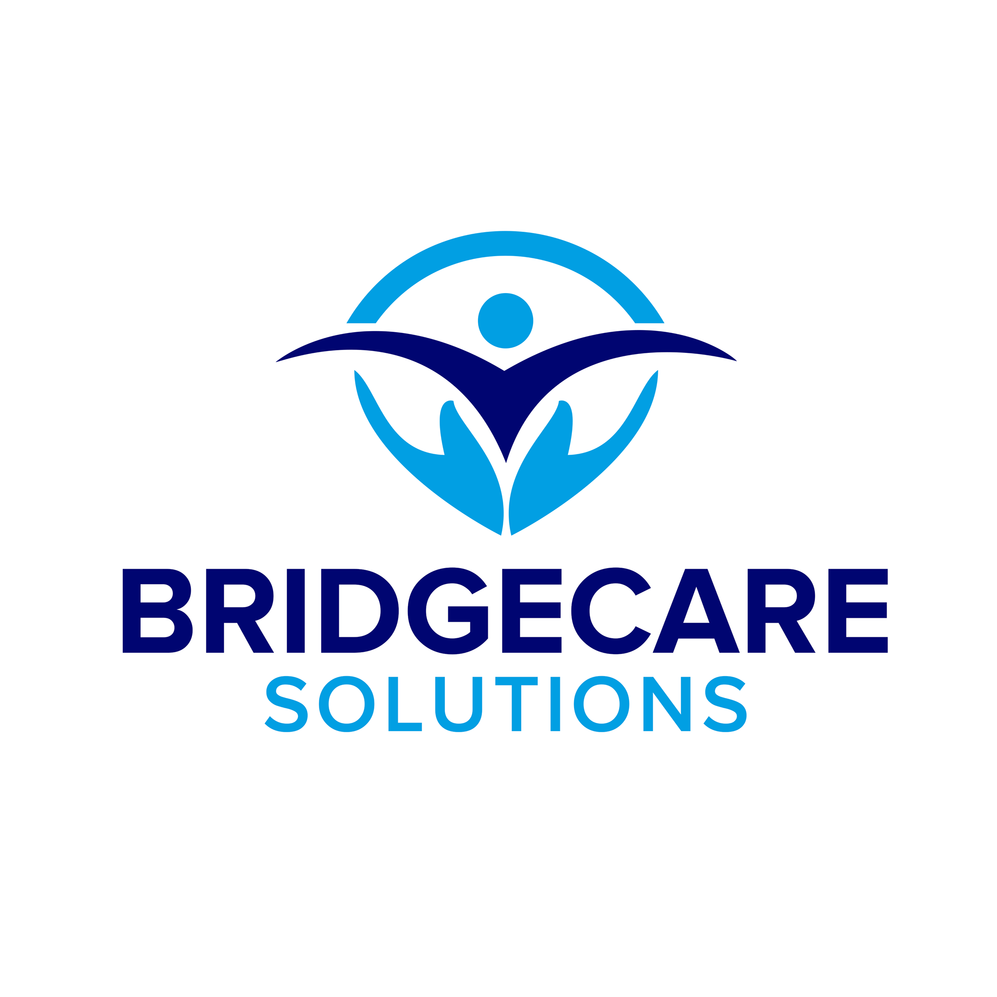 Bridgecare Bridgecare Solutions Ltd - Autumna