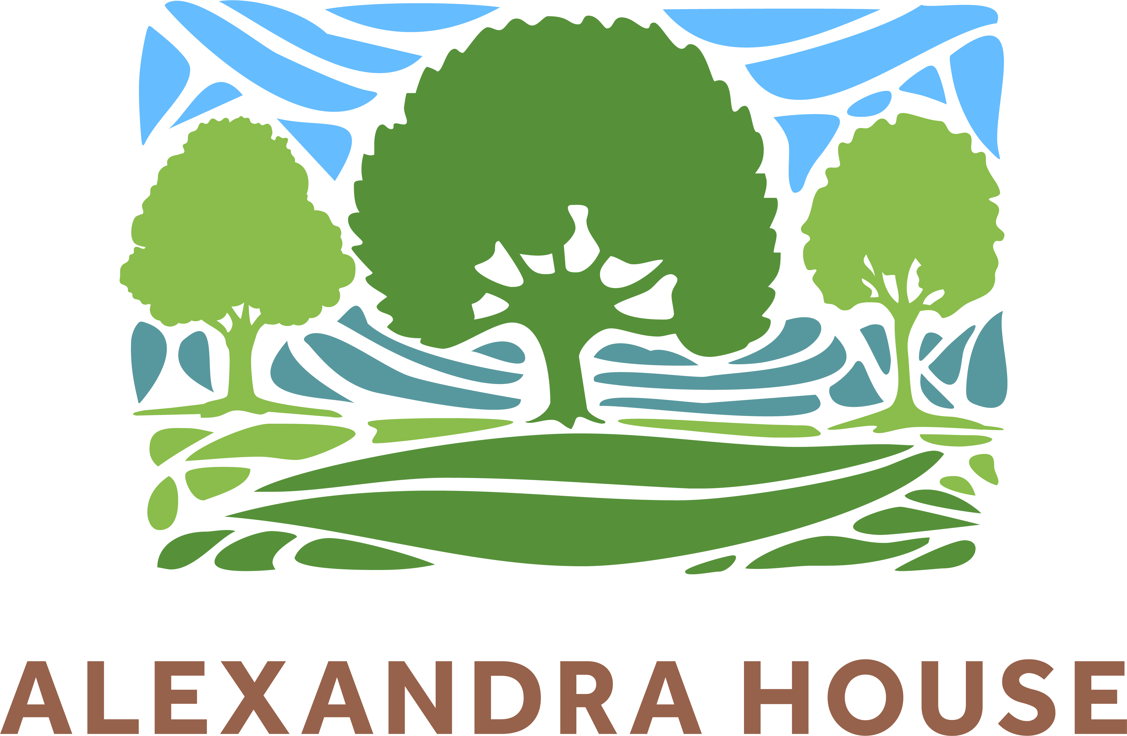 Alexandra House - Care Home