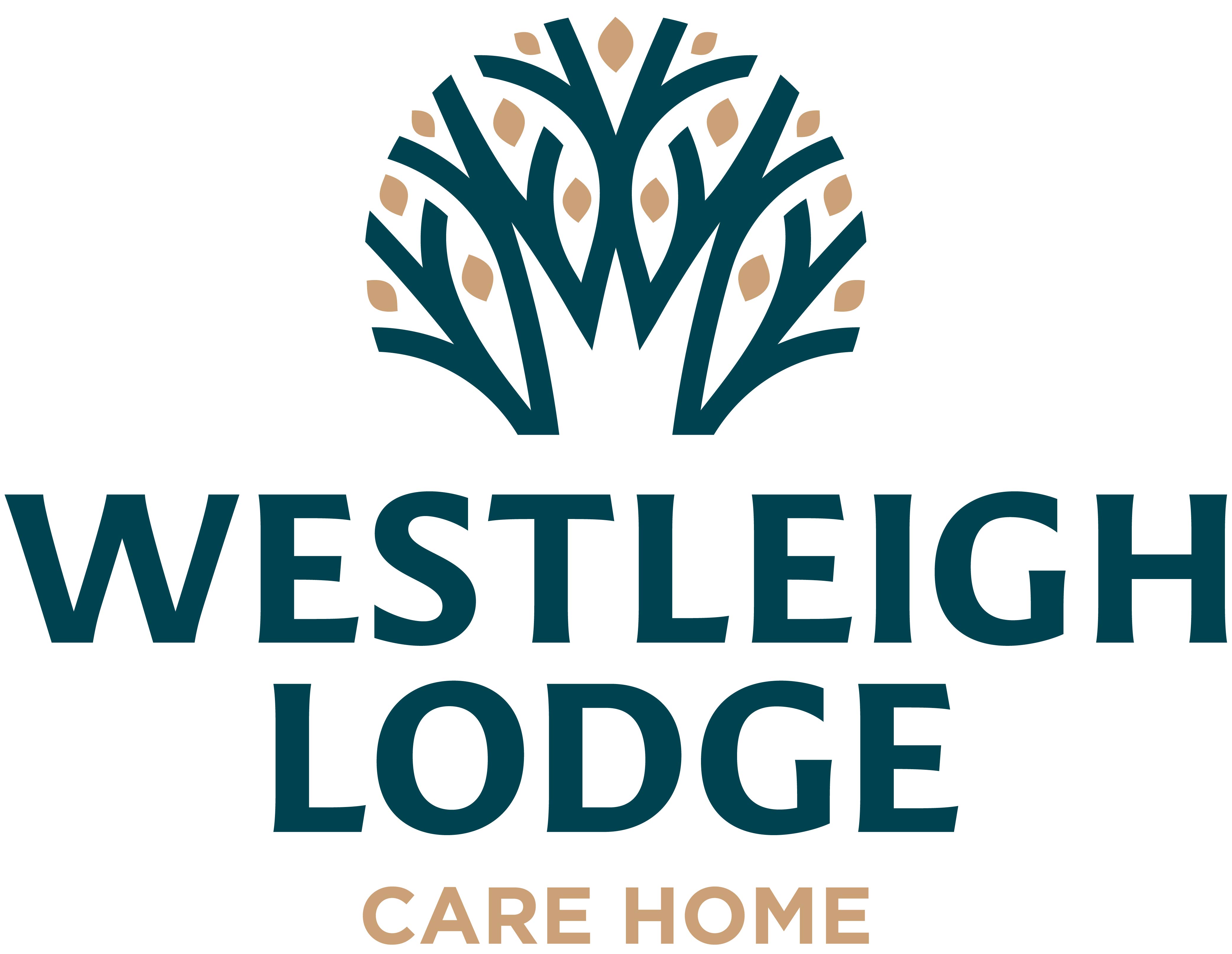Westleigh Lodge - Care Home