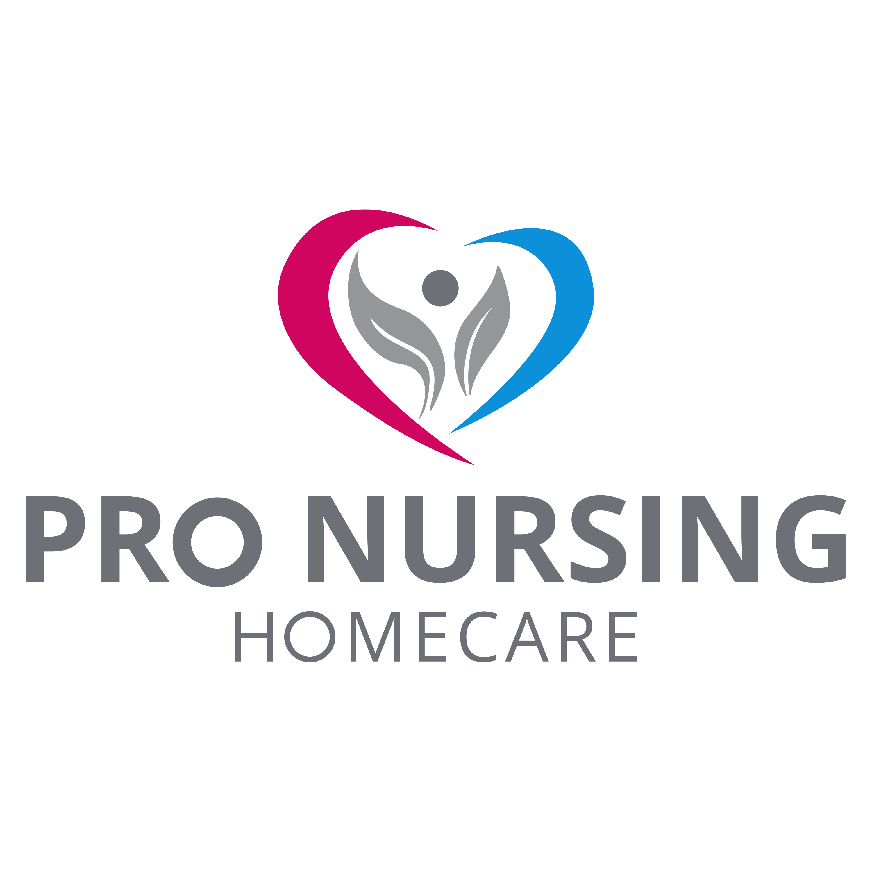 Pro Nursing Homecare - Home Care