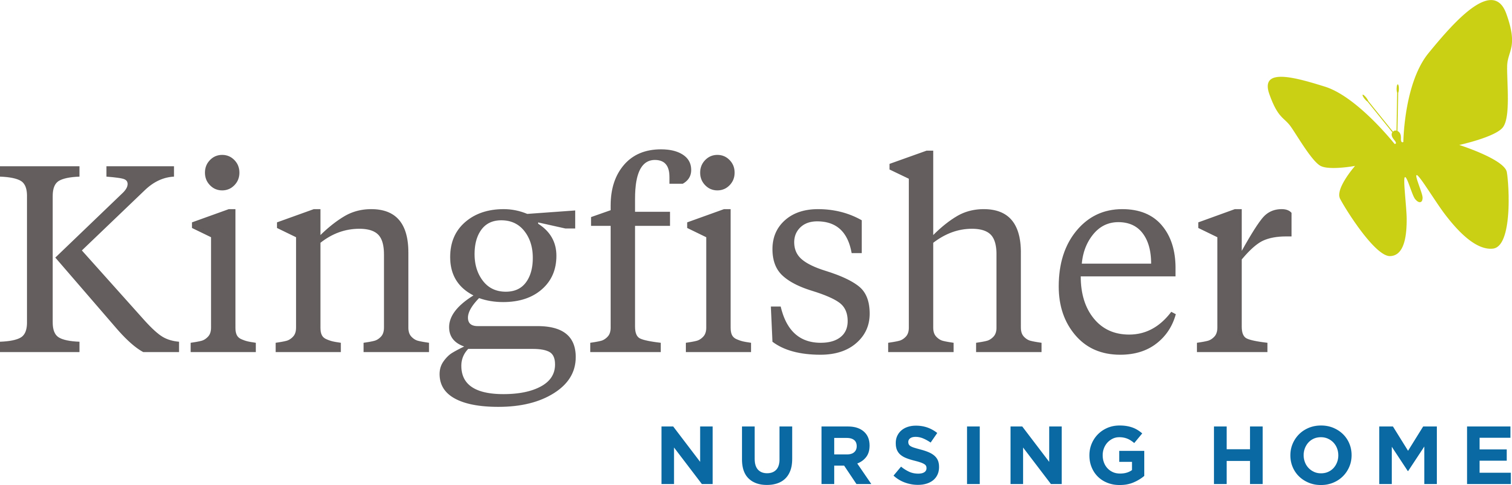 Kingfisher Nursing Home - Care Home