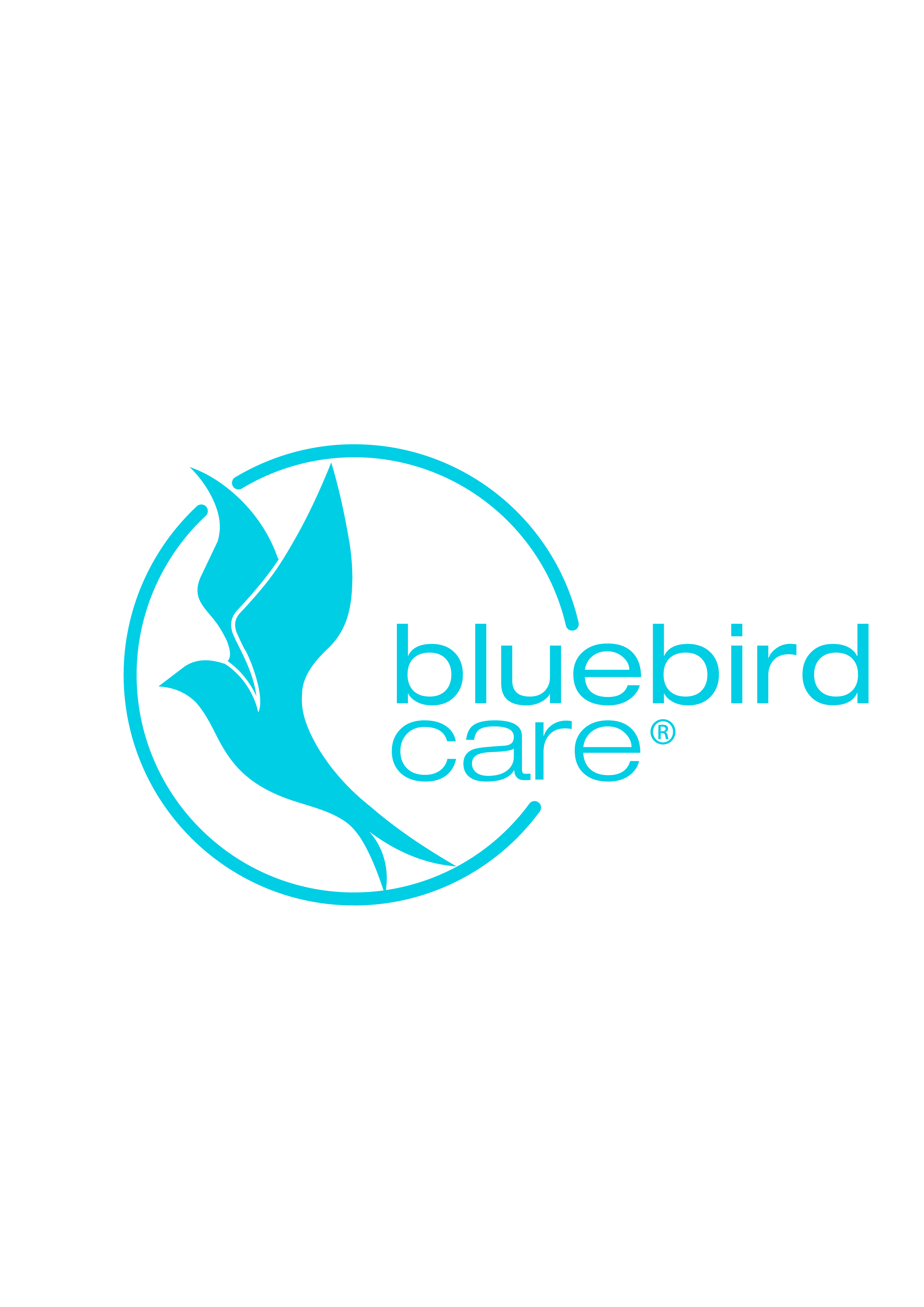 Bluebird Care East Suffolk, Great Yarmouth & Lowestoft (Live-In Care) - Live In Care