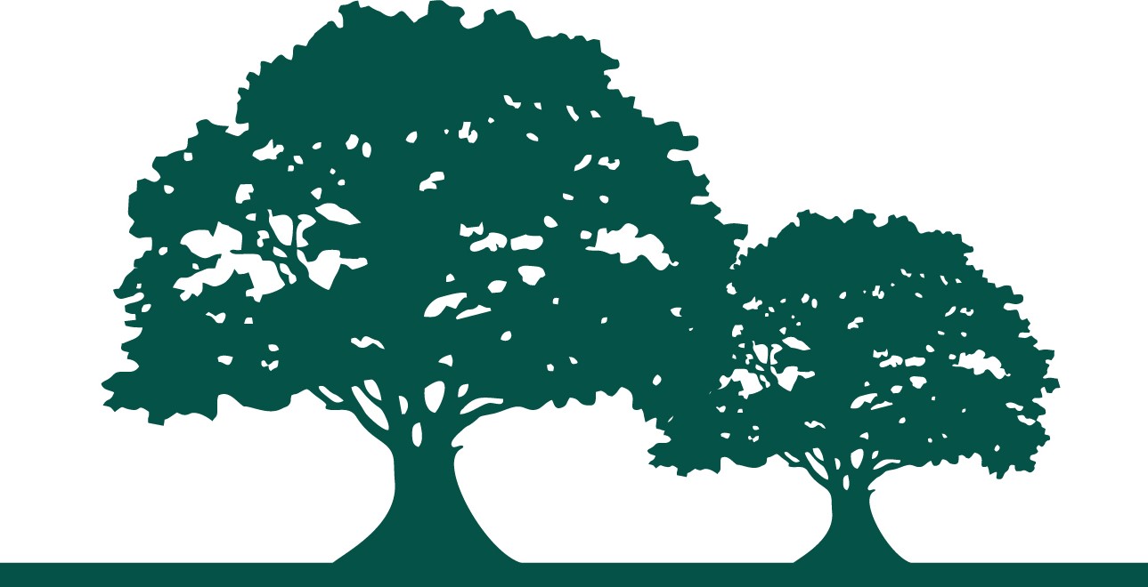 Trees Nursing Home - Care Home