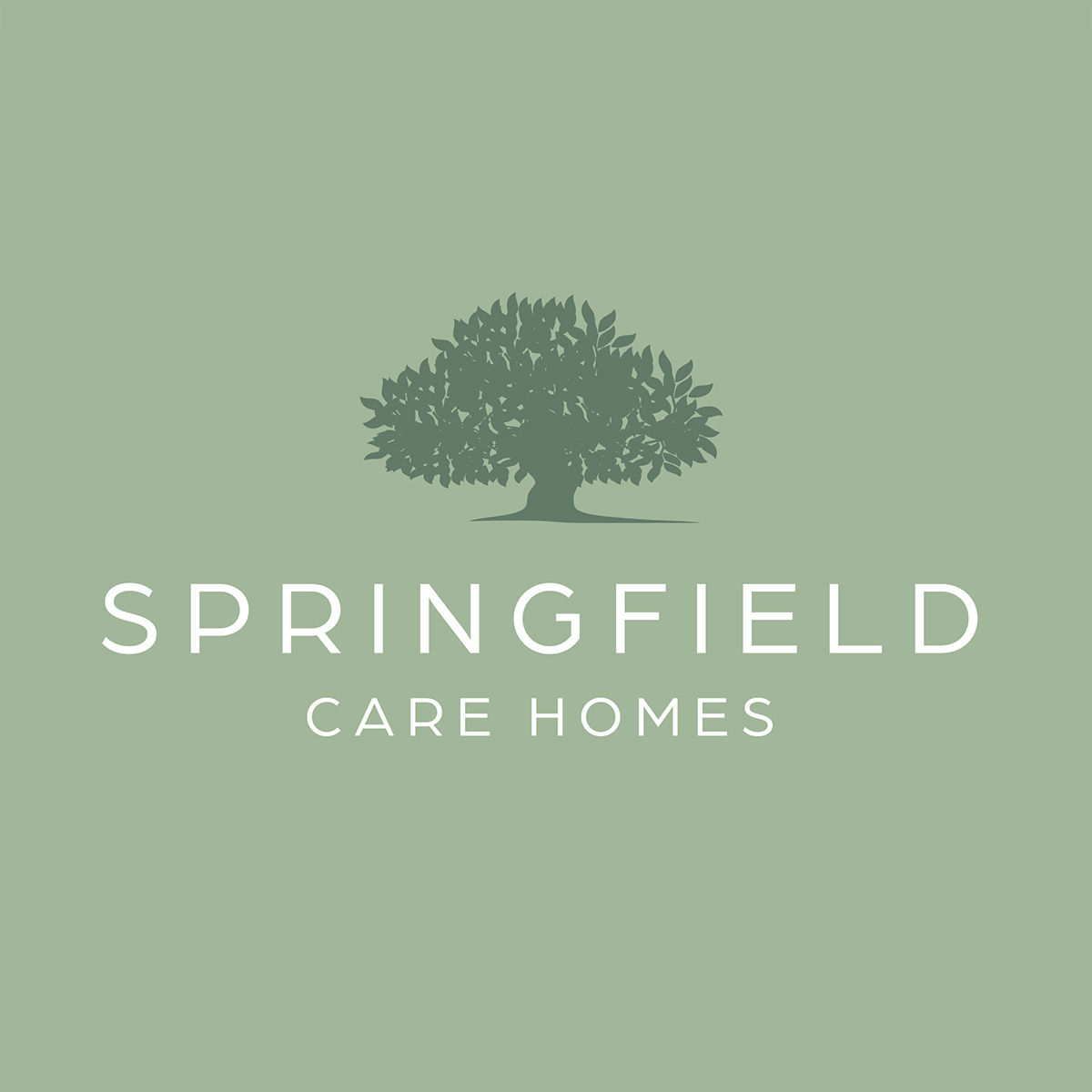 Springfield Care Home - Care Home