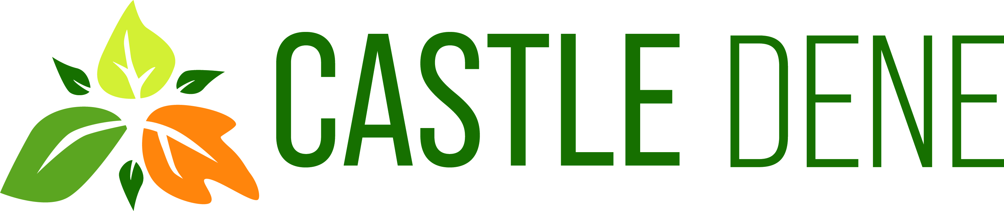 Castle Dene - Care Home