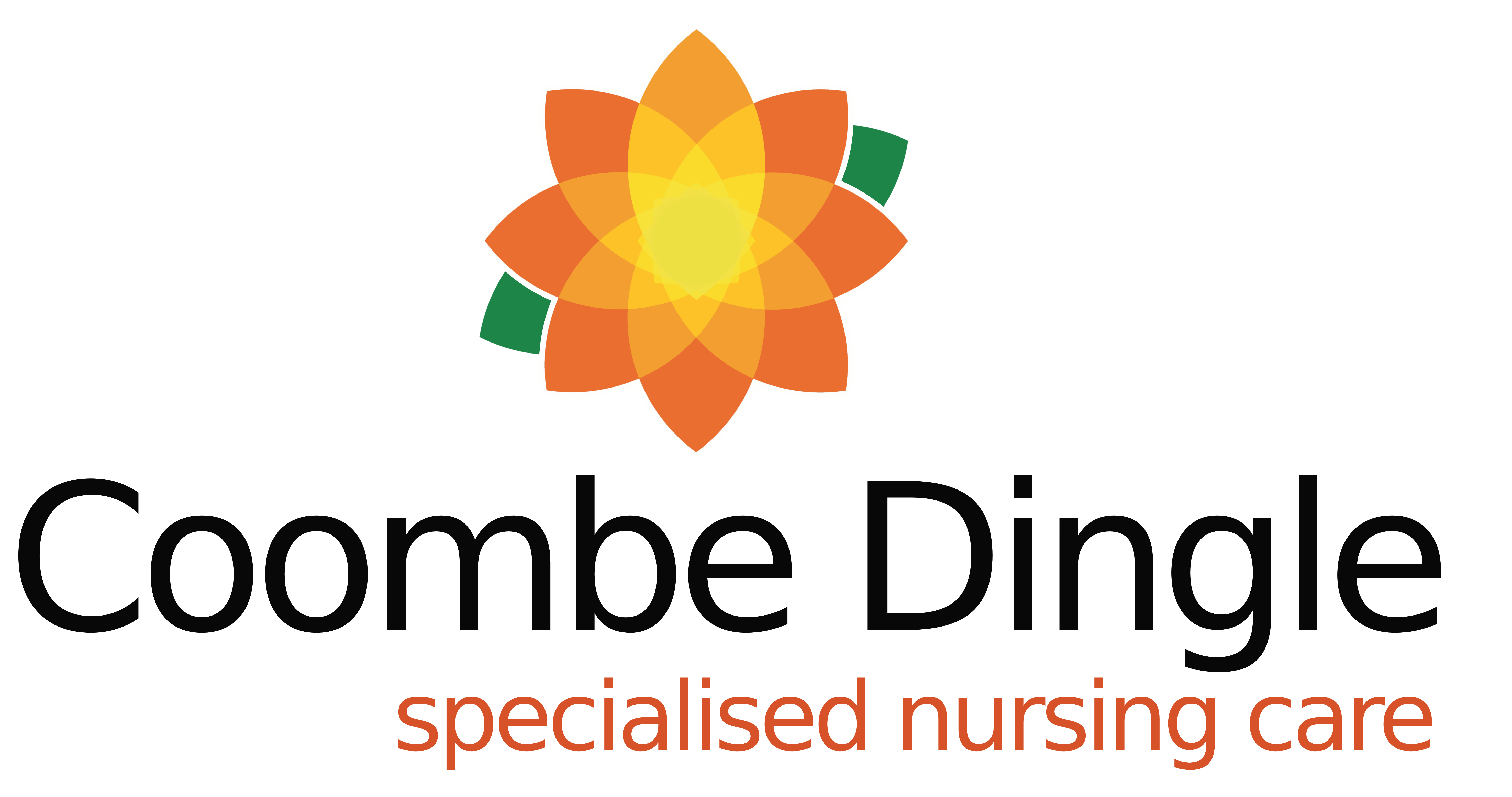 Coombe Dingle Nursing Home - Care Home