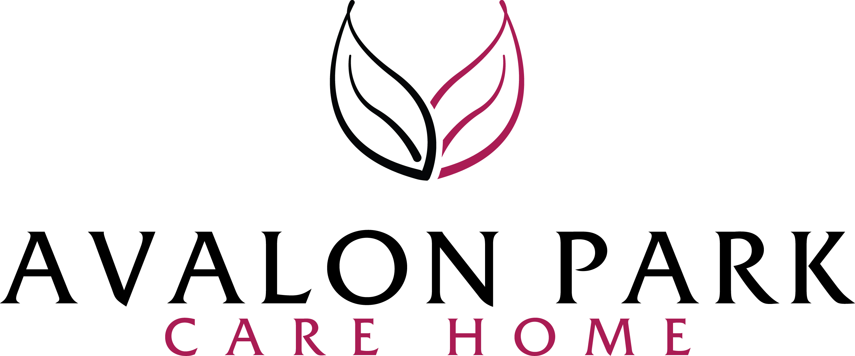 Avalon Park Nursing Home - Care Home