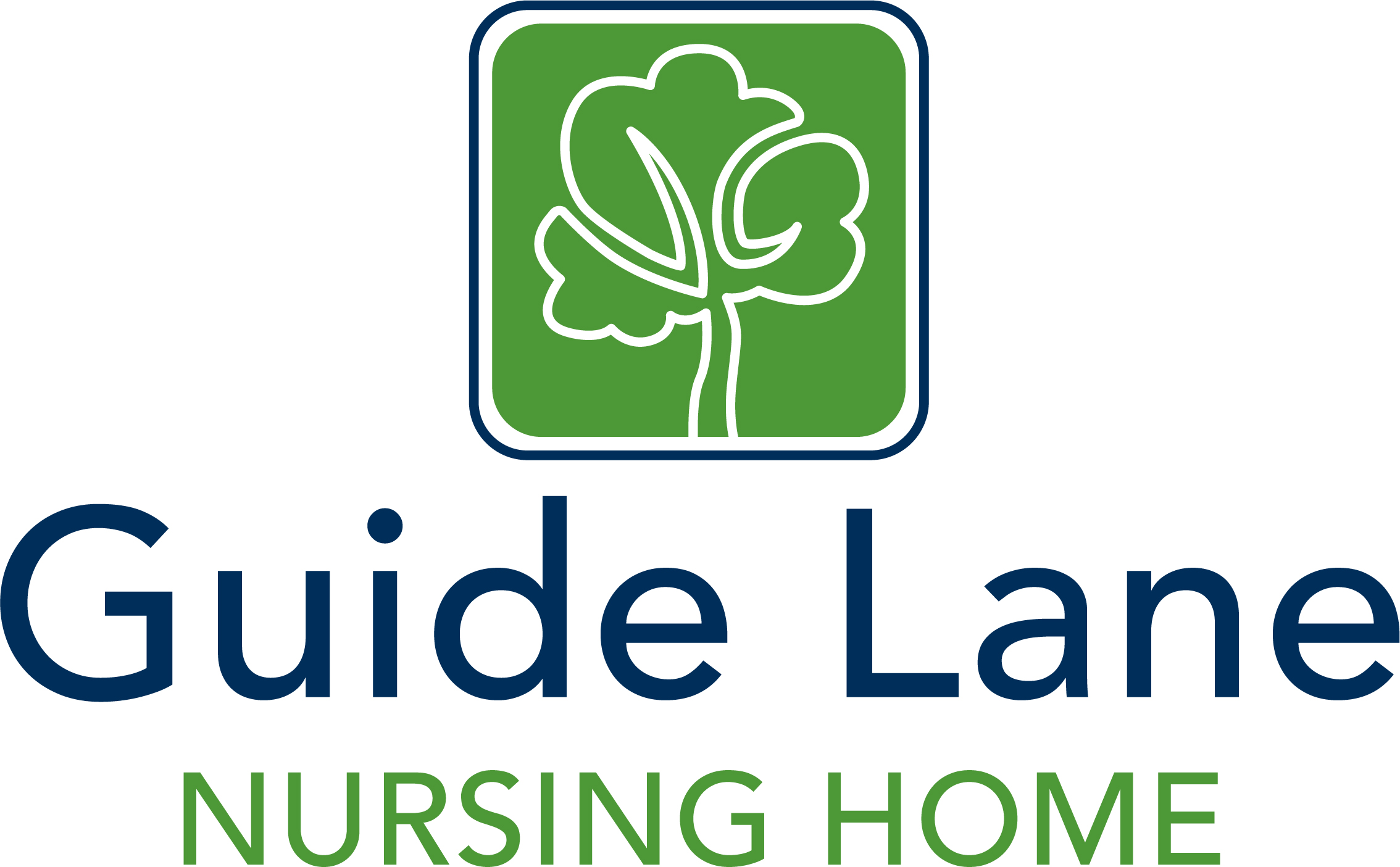 Guide Lane Nursing Home - Care Home