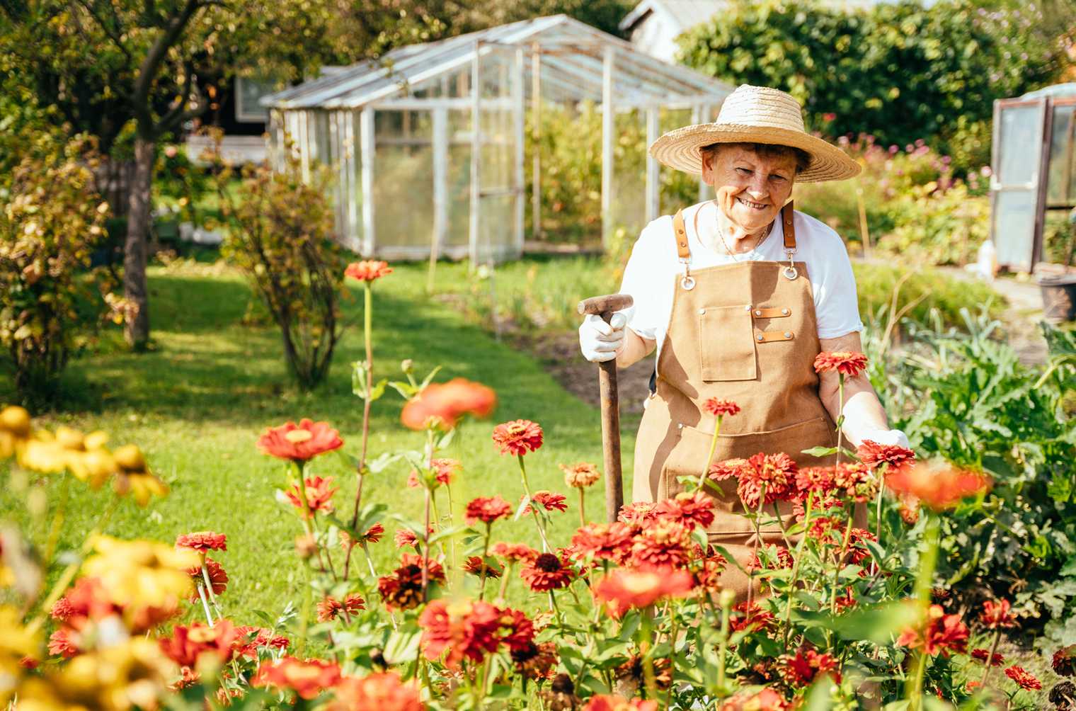 An older person in her garden with a greenhouse in the background