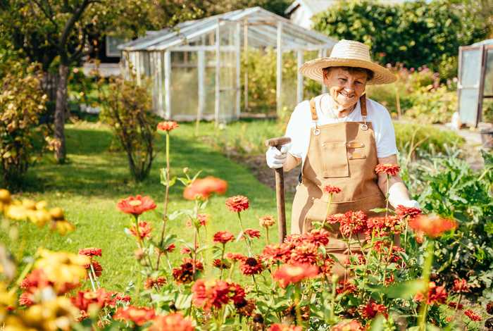 How to Find Care Home Gardens That Appeal to Gardeners