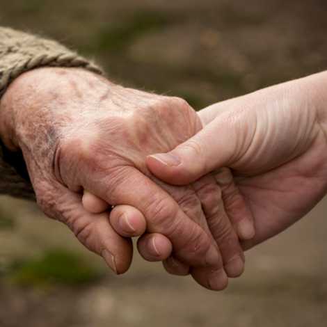 Linelife Care Ltd - Home Care