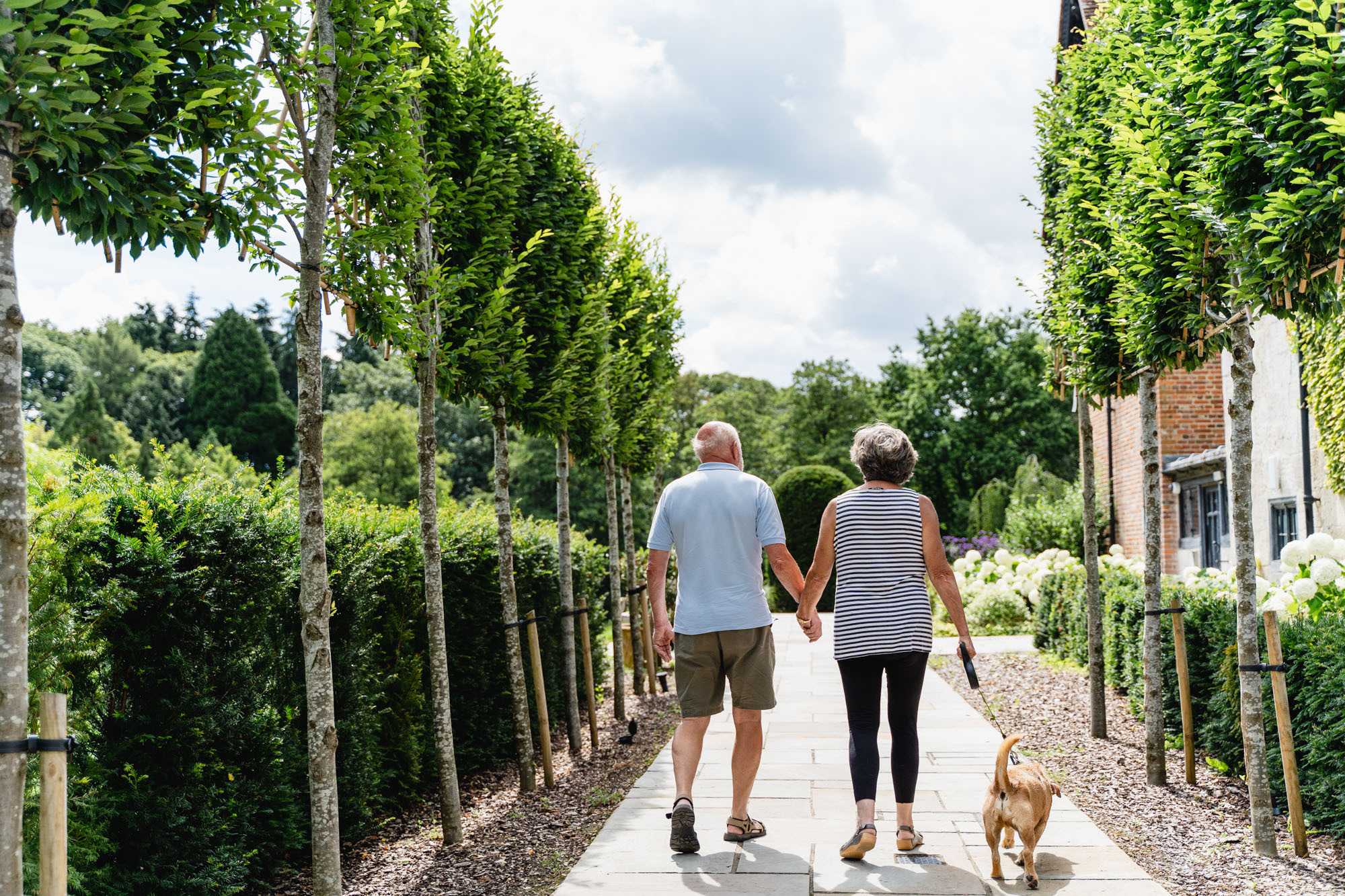Elderly couple walk through tree lined street