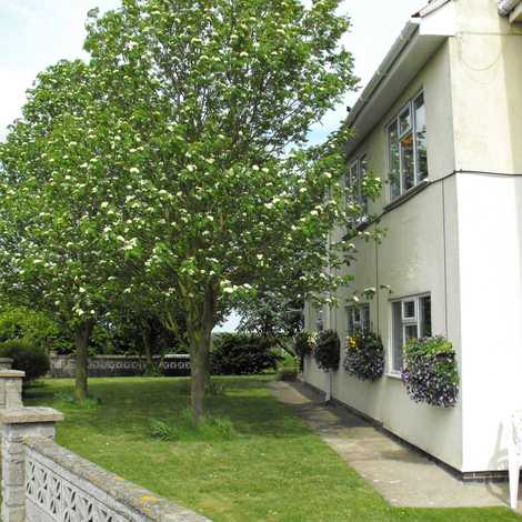 Willan House - Care Home