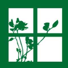 Solomon Care Homes