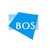 Blue Ocean Services -  logo