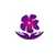 Blooming Care Ltd -  logo
