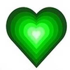 We care Nottingham Limited