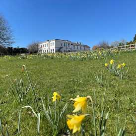 Shedfield Lodge - Care Home