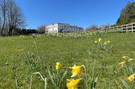 Hollybank Rest Home - Care Home