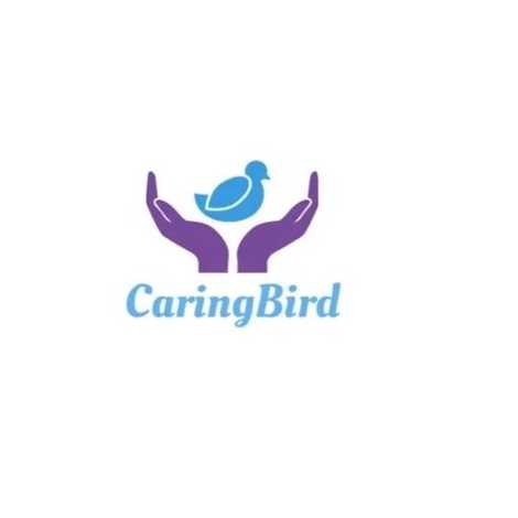 Caring Bird Consultancy LTD - Home Care