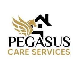 Pegasus Care Services Ltd - Home Care