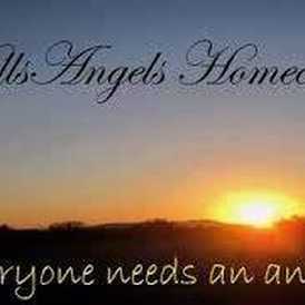 Hills Angels Homecare - Home Care