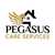 Pegasus Care Services Ltd -  logo