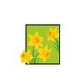 Daffodil Care Ltd