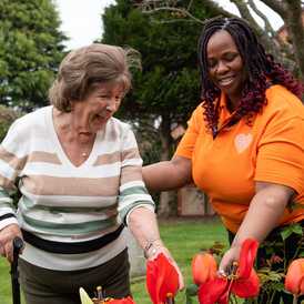 Sylvian Care Newbury - Home Care