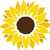Woodlands Hillbrow -  logo