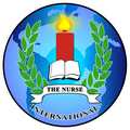 The Nurse International_icon