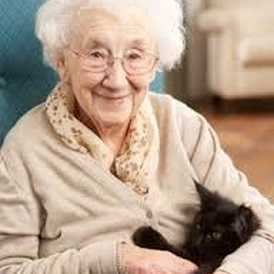 Independent People Homecare Services Limited - Home Care