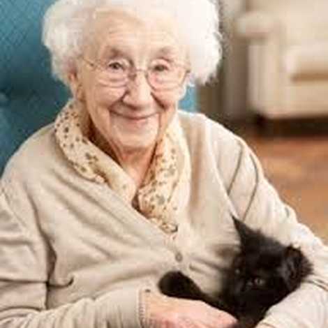 Independent People Homecare Services Limited - Home Care