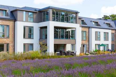 Bellsgrove Care Home - Care Home