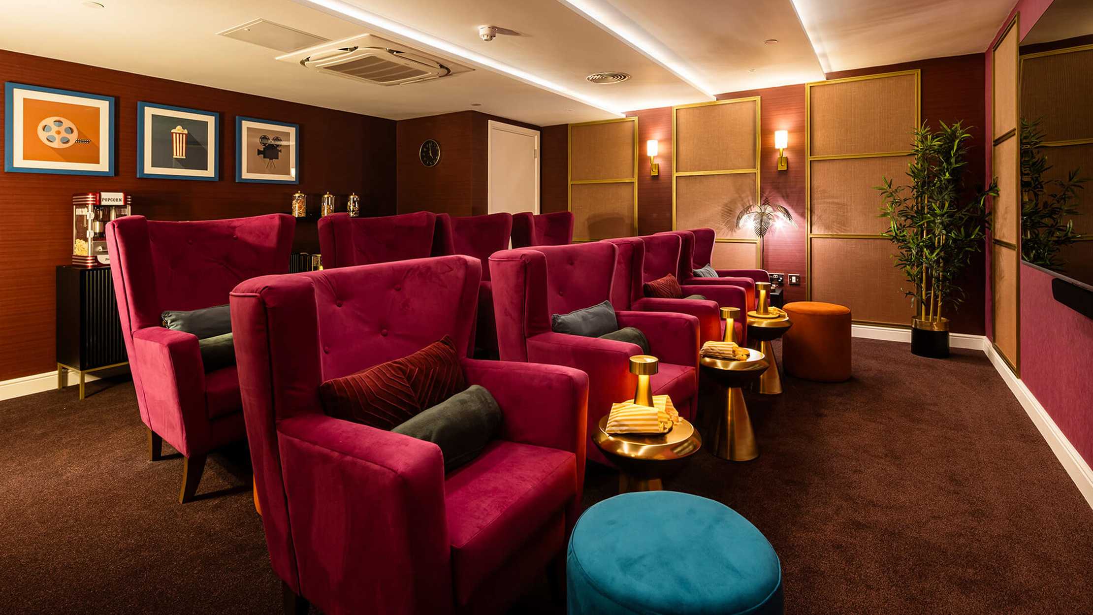 The Bridge Care Home cinema
