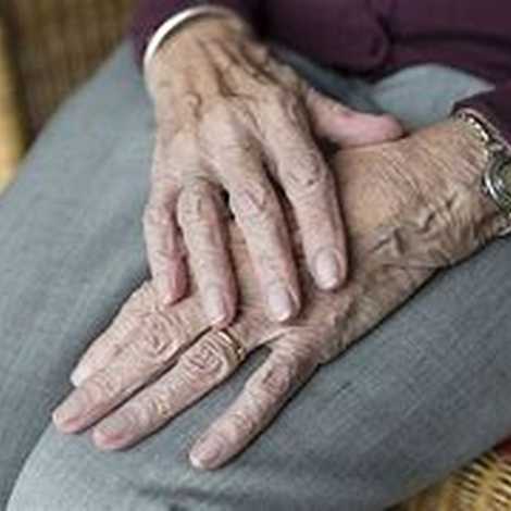 Saffron Support - Home Care