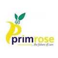 Primrose Healthcare Services Limited