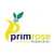 Primrose Healthcare Services Limited -  logo