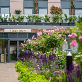 Homewood Grove - Retirement Living