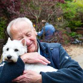 Home Instead Warminster & Gillingham - Home Care