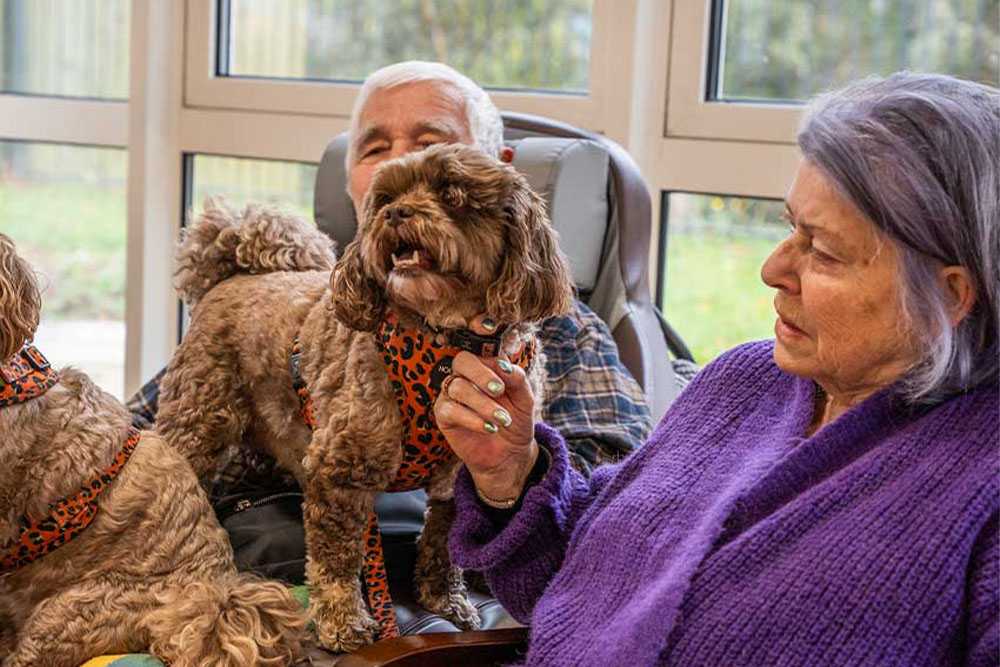Halden Heights pet therapy