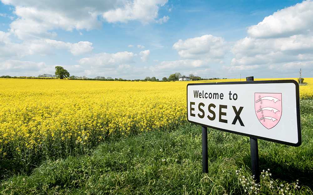 Welcome to Essex sign in meadow