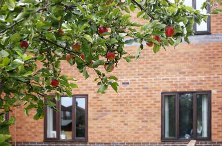 Woodlands - Care Home