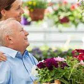 Classic Health Care Solutions-Leeds - Home Care