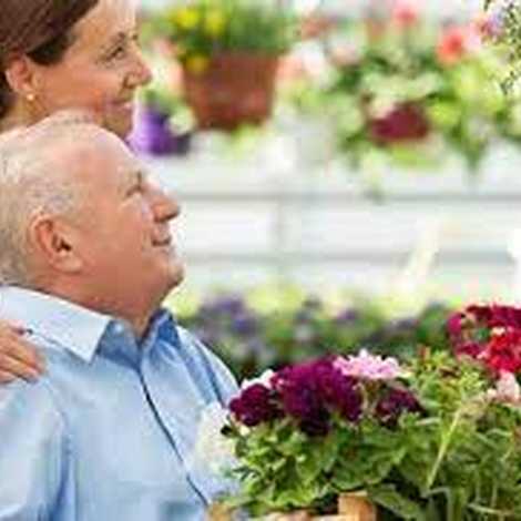 Classic Health Care Solutions-Leeds - Home Care