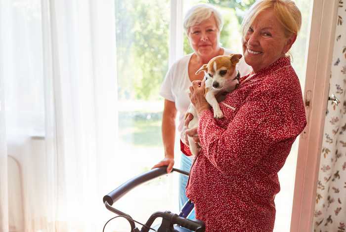 The Science Behind Using Pets as Therapy in Nursing Homes