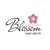 Blossom Home Care Ltd -  logo
